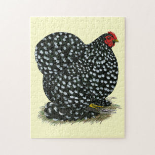 Cochin Mottling Hen Puzzle