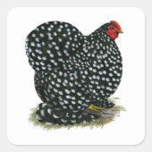 Cochin Mottling Hen Quadratischer Aufkleber (Vorderseite)