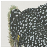 Cochin Mottling Hen Stoff (Nahaufnahme)