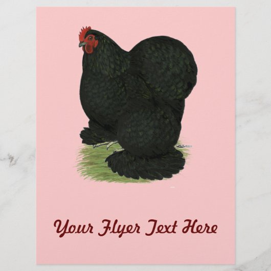Cochin: Schwarzes Huhn Flyer (Vorne)