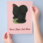 Cochin: Schwarzes Huhn Flyer (Hand)