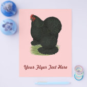 Cochin: Schwarzes Huhn Flyer (Einzeln)