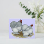 Cochin:  Selbblau Postkarte (Stehend Vorderseite)