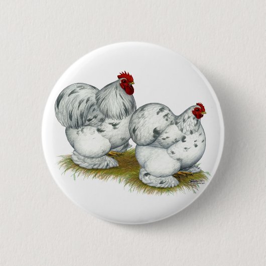 Cochin: Splash Bantams Button (Vorderseite)