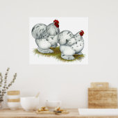 Cochin: Splash Bantams Poster (Küche)