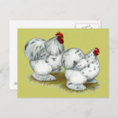 Cochin: Splash Bantams Postkarte (Vorne/Hinten)