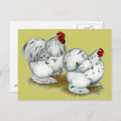 Cochin: Splash Bantams Postkarte (Vorne/Hinten)