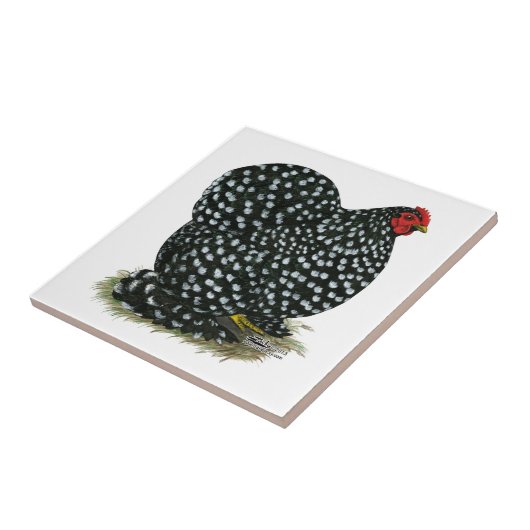 Cochin sprenkelte Henne Fliese (Seite)