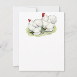 Cochin: Weiße Bantams