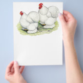 Cochin: Weiße Bantams Flyer (Hand)