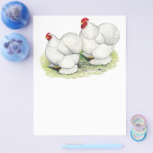 Cochin: Weiße Bantams Flyer (Einzeln)