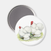 Cochin: Weiße Bantams Magnet (Vorderseite/Rückseite)