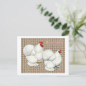 Cochin: White Bantams Postkarte (Stehend Vorderseite)