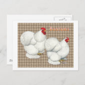 Cochin: White Bantams Postkarte (Vorne/Hinten)