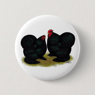 Cochins Black Bantam Pair Button