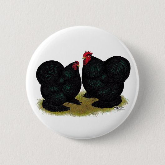Cochins Black Bantam Pair Button (Vorderseite)