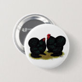 Cochins Black Bantam Pair Button (Vorne & Hinten)