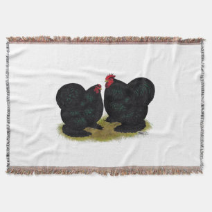 Cochins Black Bantam Pair Decke