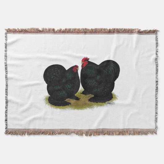 Cochins Black Bantam Pair Decke (Vorderseite)