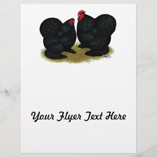 Cochins Black Bantam Pair Flyer (Vorne)