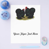 Cochins Black Bantam Pair Flyer (Einzeln)
