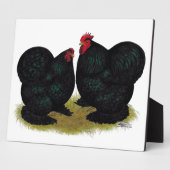 Cochins Black Bantam Pair Fotoplatte (Seite)