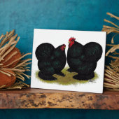 Cochins Black Bantam Pair Fotoplatte (Seite)