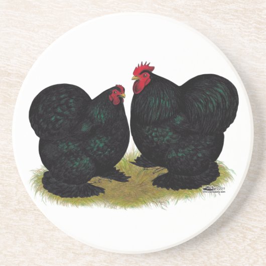 Cochins Black Bantam Pair Getränkeuntersetzer (Vorne)