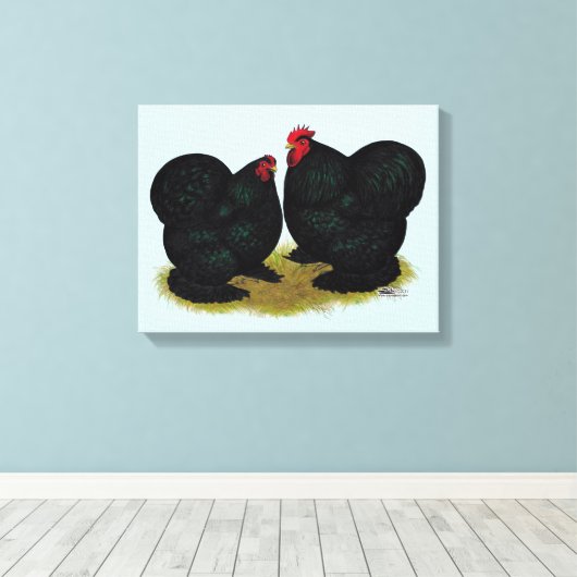 Cochins Black Bantam Pair Leinwanddruck (Insitu (Holzboden))