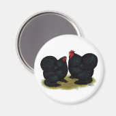 Cochins Black Bantam Pair Magnet (Vorderseite/Rückseite)