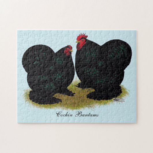 Cochins Black Bantam Pair Puzzle (Horizontal)