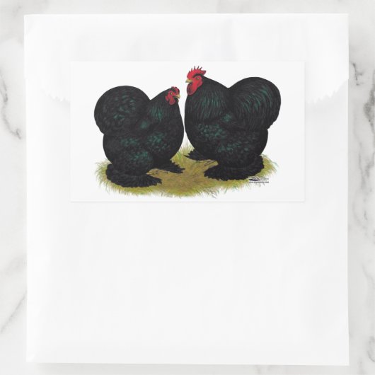 Cochins Black Bantam Pair Rechteckiger Aufkleber (Tasche)