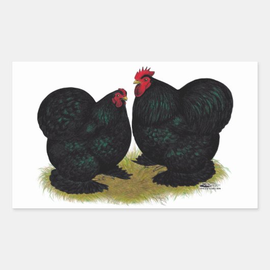 Cochins Black Bantam Pair Rechteckiger Aufkleber (Vorderseite)