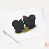 Cochins Black Bantam Pair Rechteckiger Aufkleber (Umschlag)