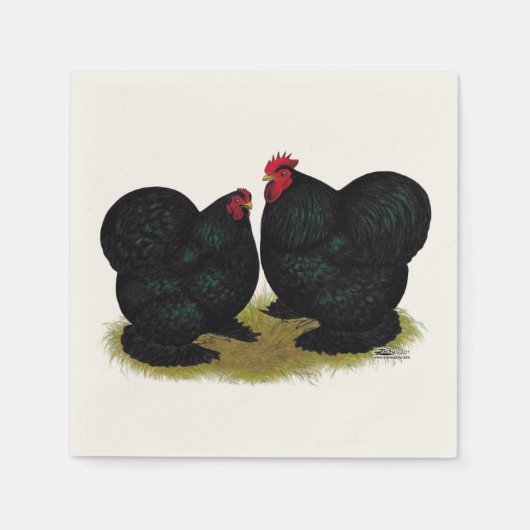 Cochins Black Bantam Pair Serviette (Vorderseite)