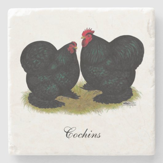 Cochins Black Bantam Pair Steinuntersetzer (Vorderseite)