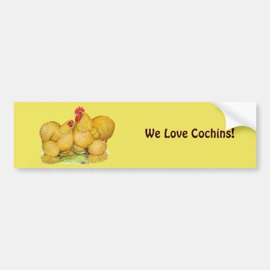Cochins Buff Pair Autoaufkleber (Vorne)