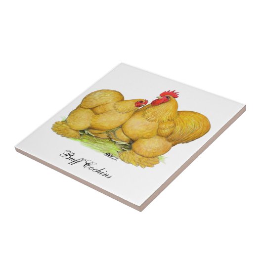 Cochins Buff Pair Fliese (Seite)