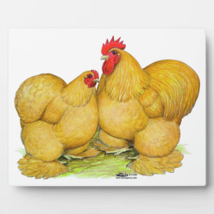 Cochins Buff Pair Fotoplatte