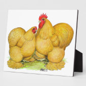 Cochins Buff Pair Fotoplatte (Seite)