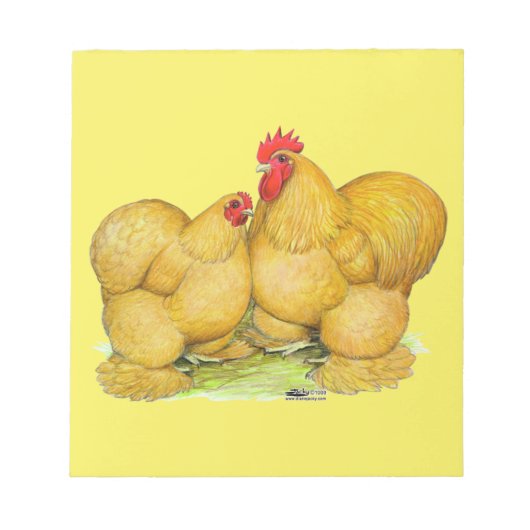 Cochins Buff Pair Notizblock (Vorderseite)