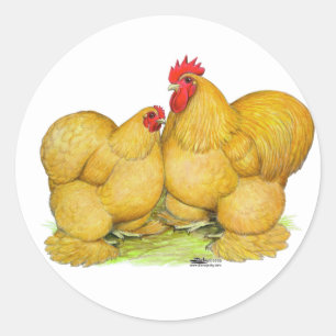 Cochins Buff Pair Runder Aufkleber
