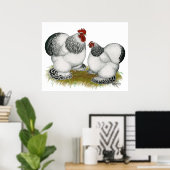 Cochins: Columbian Bantams Poster (Heimbüro)