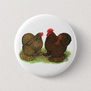 Cochins: goldlackiert button