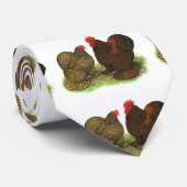 Cochins: goldlackiert krawatte (Gerollt)