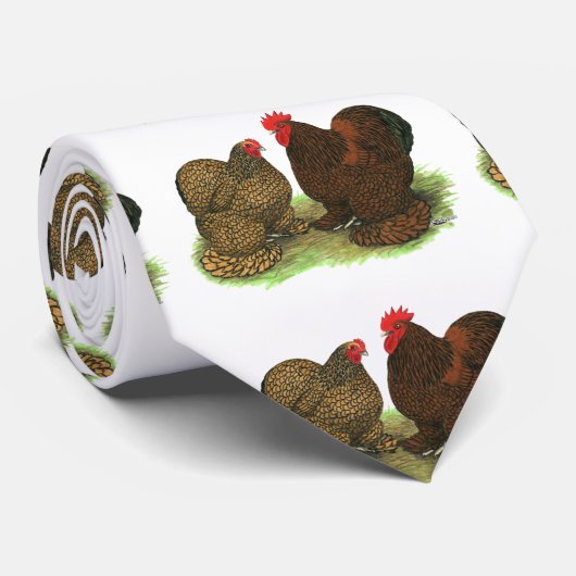 Cochins: goldlackiert krawatte (Gerollt)