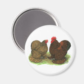Cochins: goldlackiert magnet (Vorderseite/Rückseite)