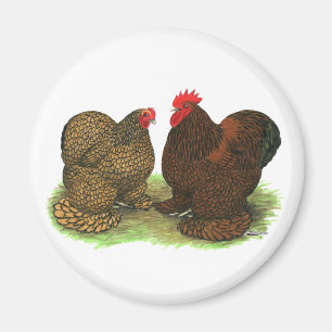 Cochins: goldlackiert magnet