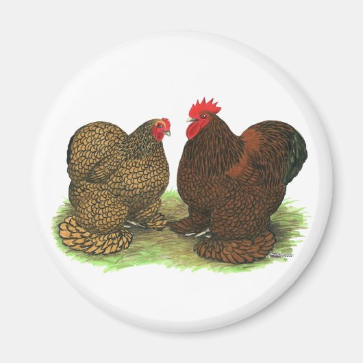 Cochins: goldlackiert magnet (Vorne)