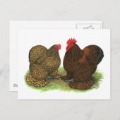 Cochins: goldlackiert postkarte (Vorne/Hinten)